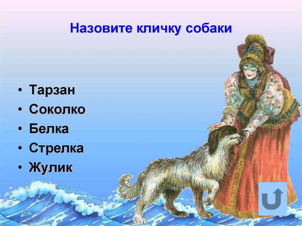 Назовите кличку собаки