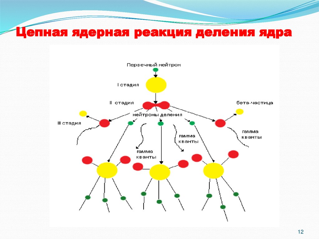 Цепная ядерная реакция деления ядра