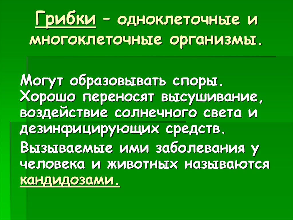 Грибки – одноклеточные и многоклеточные организмы.