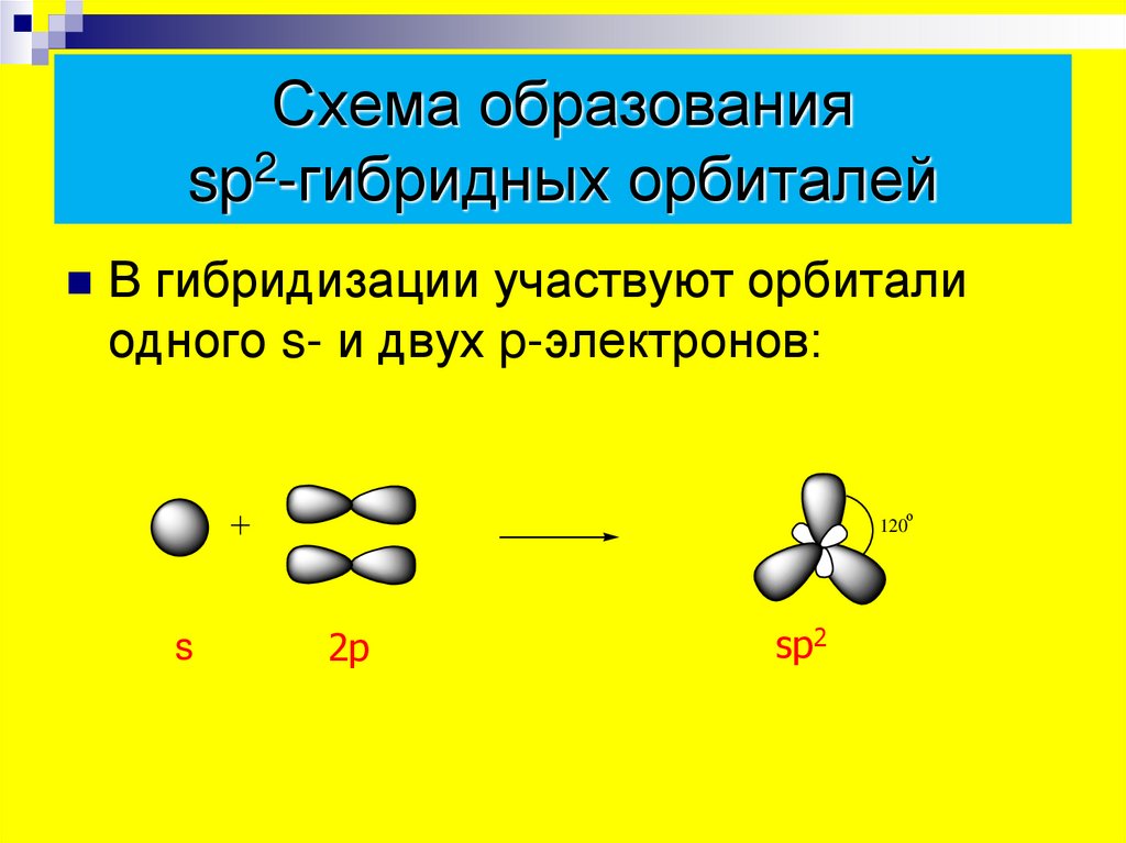Схема образования sp2-гибридных орбиталей