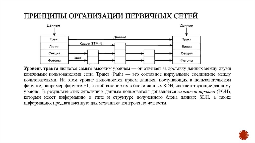 Принципы организации первичных сетей