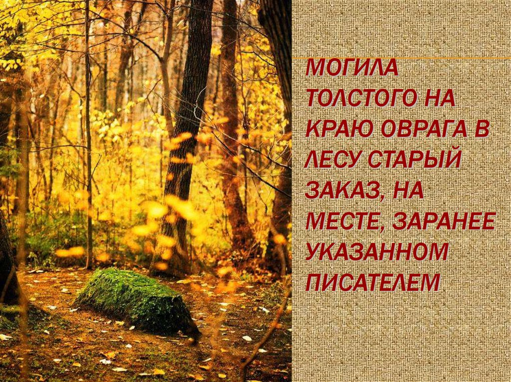 Могила Толстого на краю оврага в лесу Старый Заказ, на месте, заранее указанном писателем
