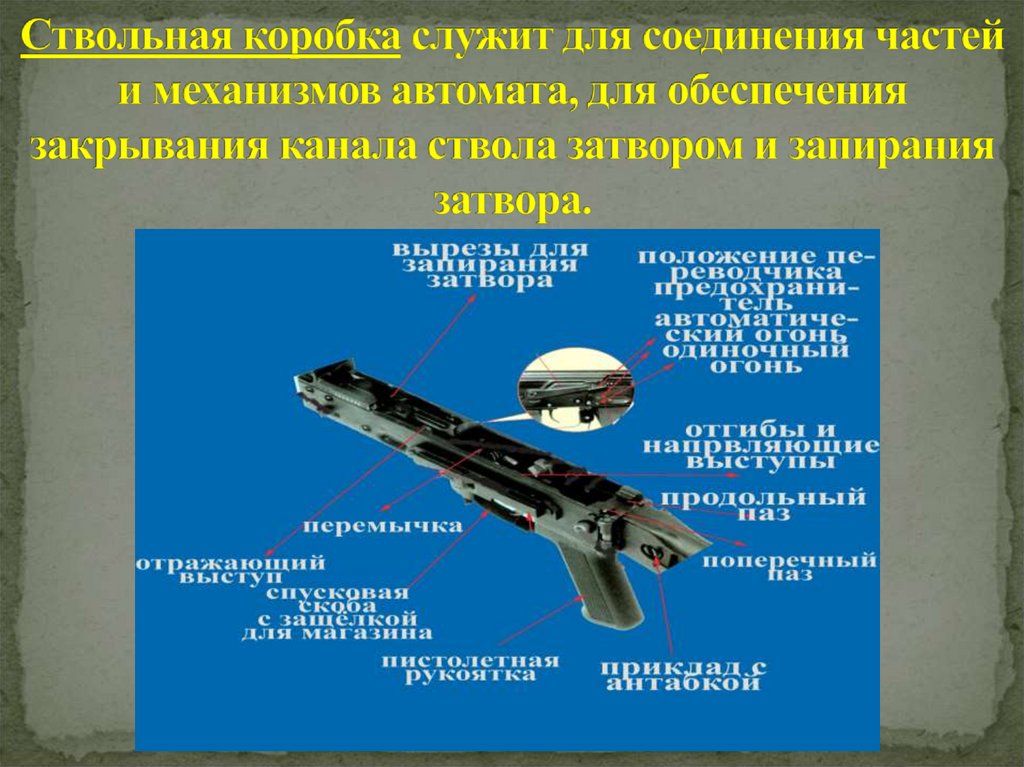 Ствольная коробка служит для соединения частей и механизмов автомата, для обеспечения закрывания канала ствола затвором и