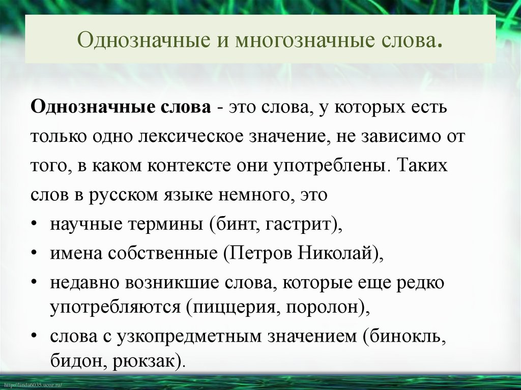 Однозначные и многозначные слова.