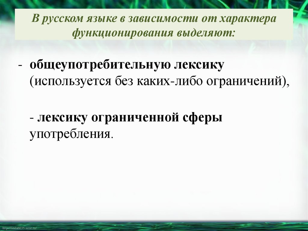 В русском языке в зависимости от характера функционирования выделяют: