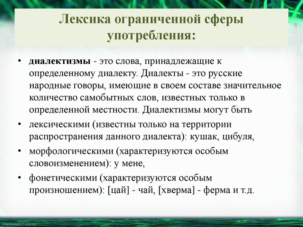 Лексика ограниченной сферы употребления: