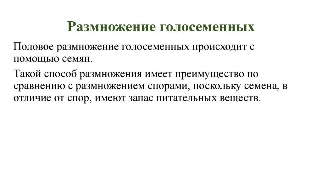 Размножение голосеменных