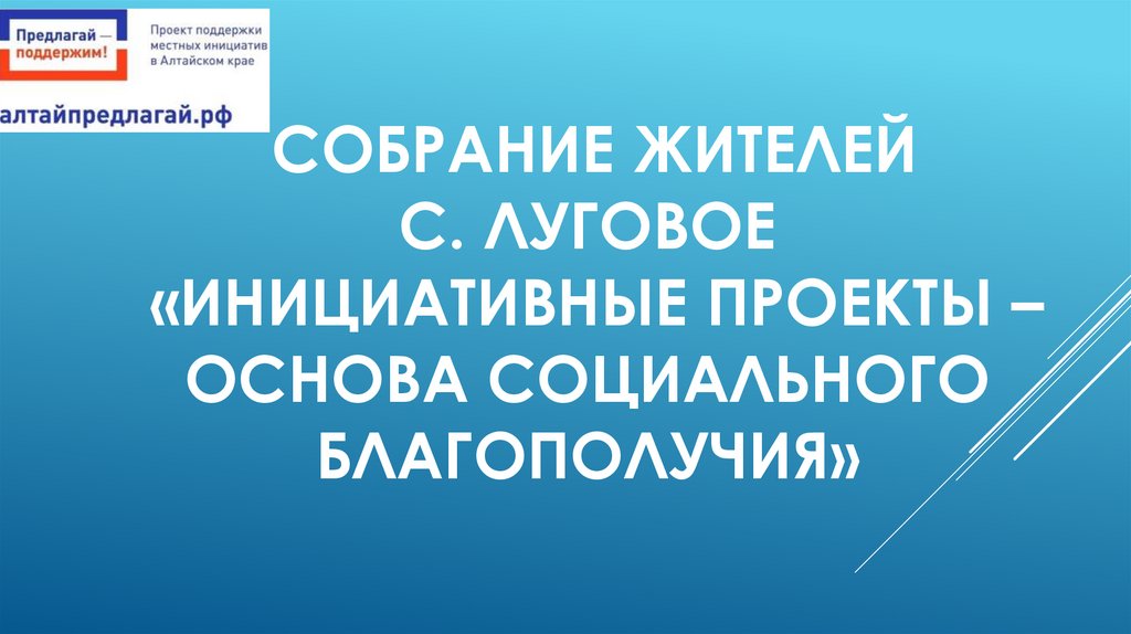 Собрание жителей с. Луговое «Инициативные проекты – основа социального благополучия»