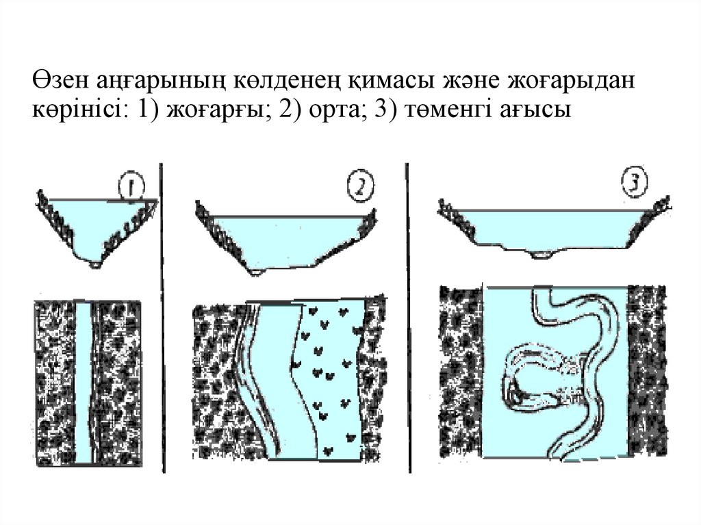 Өзен аңғарының көлденең қимасы және жоғарыдан көрінісі: 1) жоғарғы; 2) орта; 3) төменгі ағысы