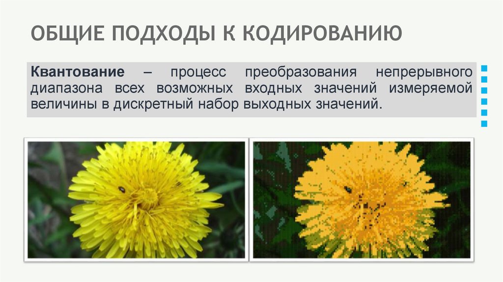 ОБЩИЕ ПОДХОДЫ К КОДИРОВАНИЮ