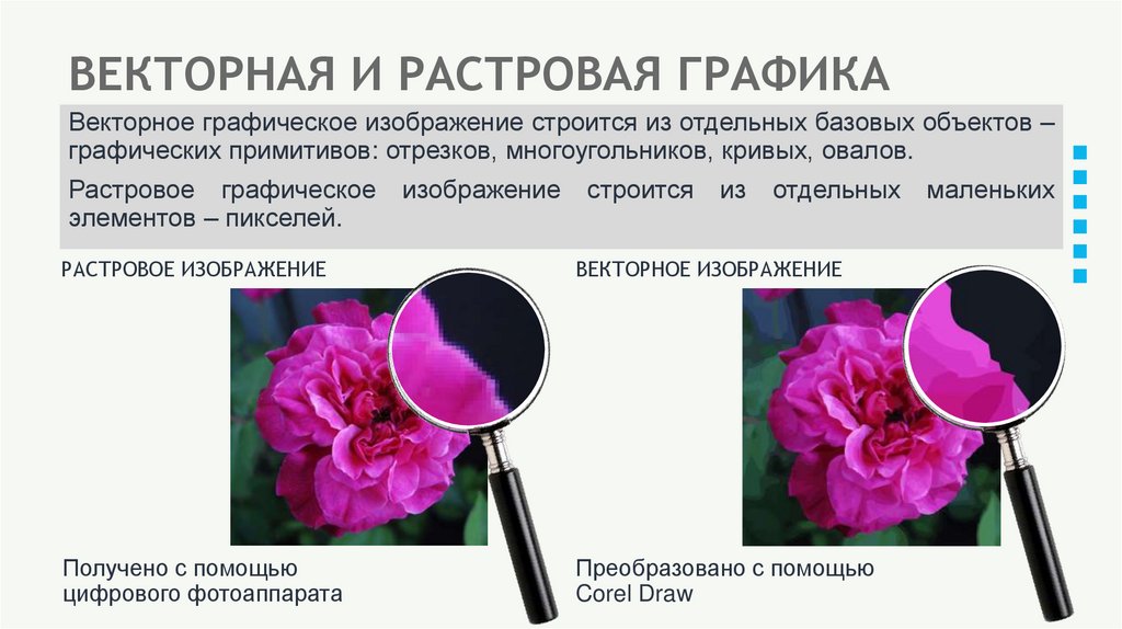ВЕКТОРНАЯ И РАСТРОВАЯ ГРАФИКА