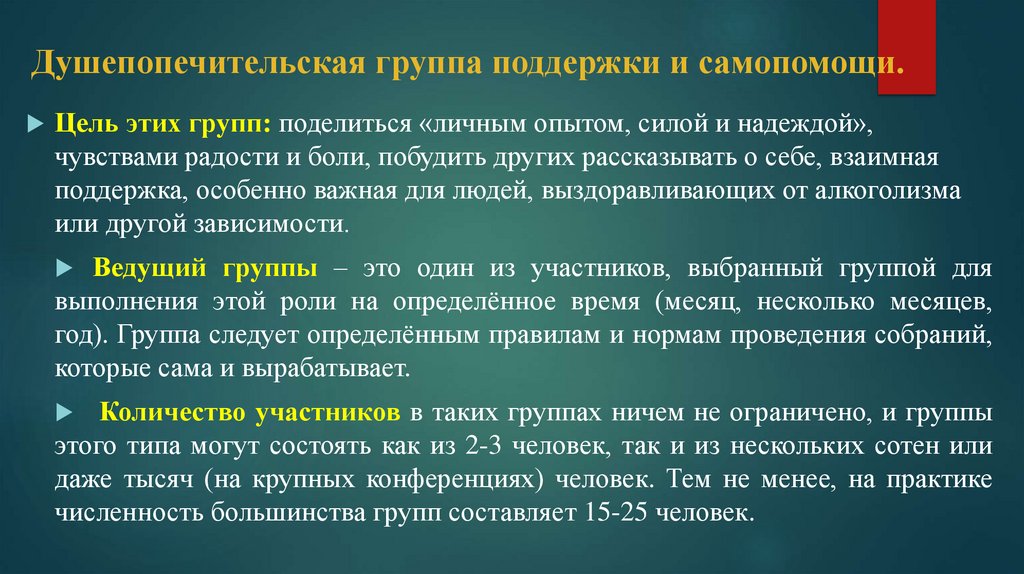 Душепопечительская группа поддержки и самопомощи.