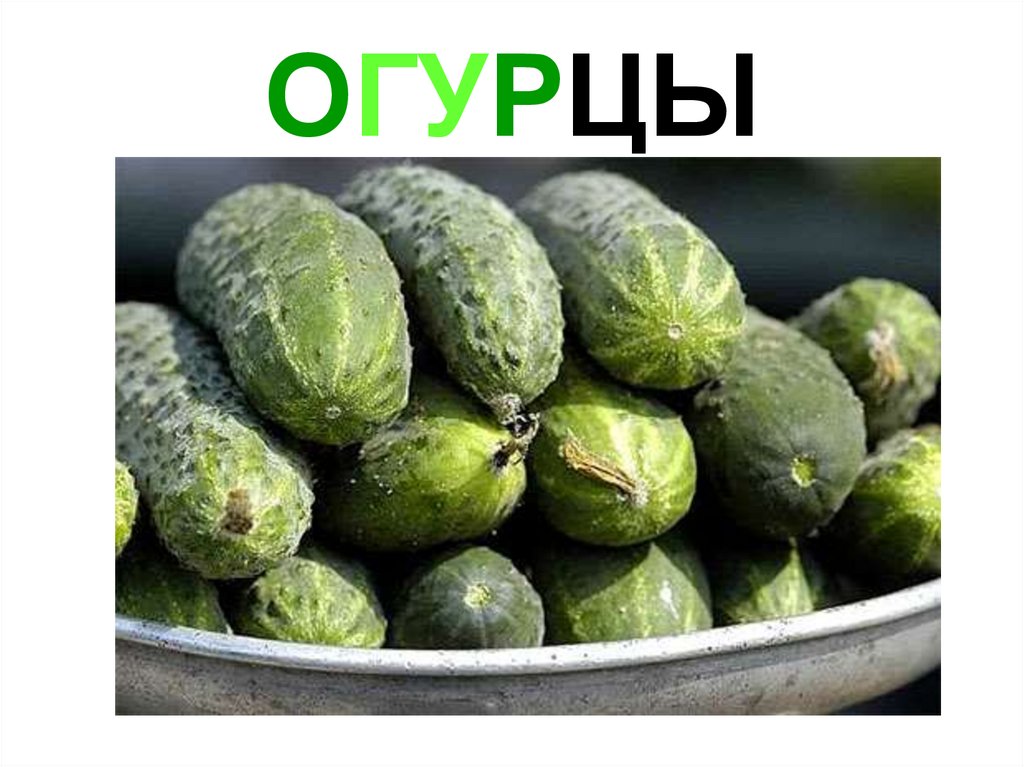 ОГУРЦЫ