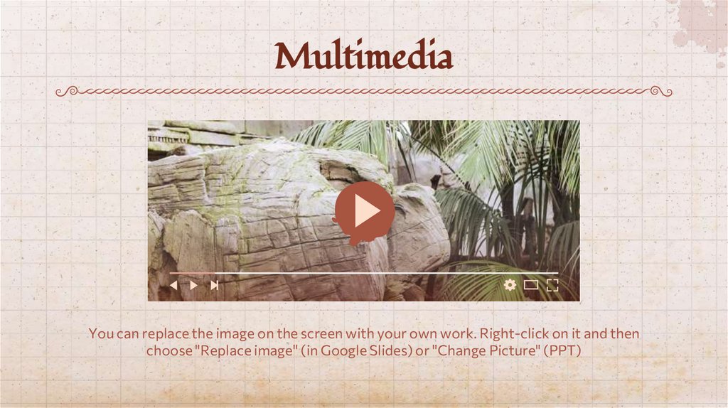 Multimedia