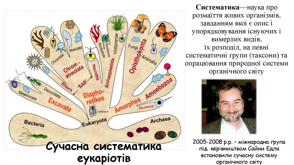 Сучасна систематика еукаріотів