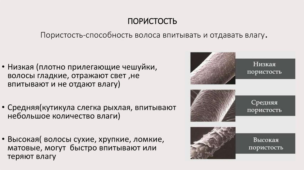 ПОРИСТОСТЬ Пористость-способность волоса впитывать и отдавать влагу.
