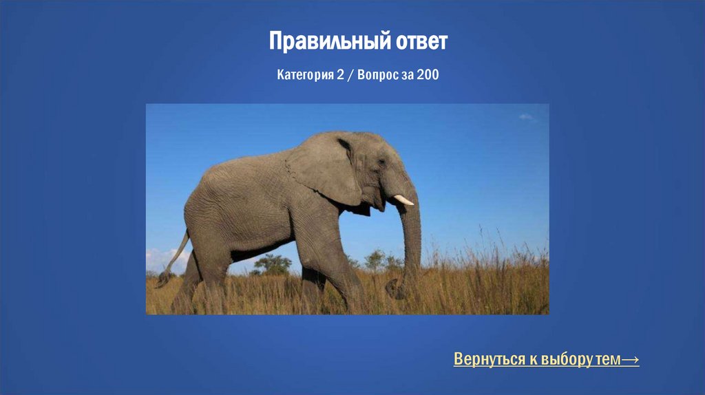 Правильный ответ Категория 2 / Вопрос за 200
