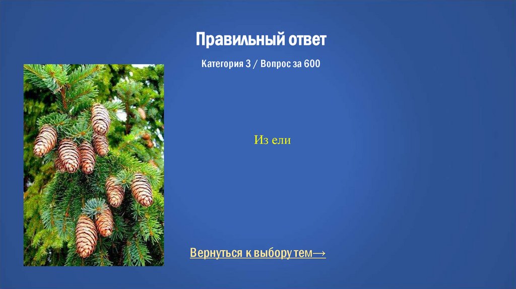 Правильный ответ Категория 3 / Вопрос за 600
