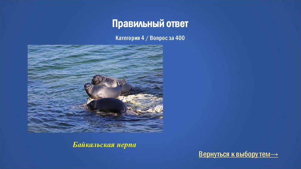 Правильный ответ Категория 4 / Вопрос за 400