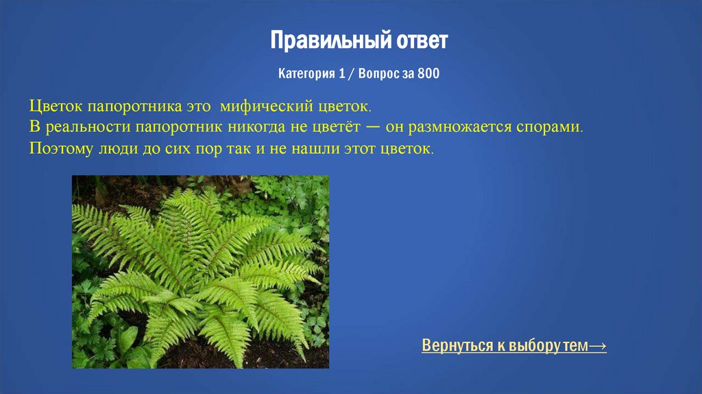 Правильный ответ Категория 1 / Вопрос за 800