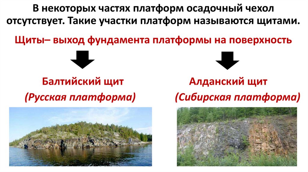 В некоторых частях платформ осадочный чехол отсутствует. Такие участки платформ называются щитами.