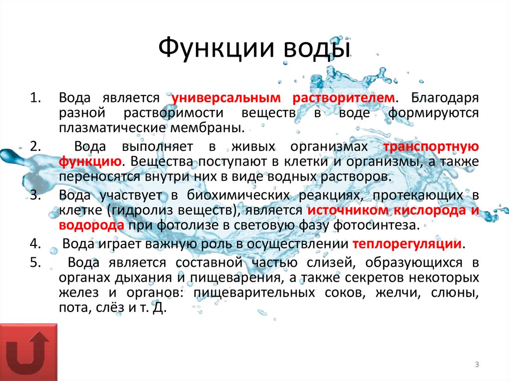 Функции воды