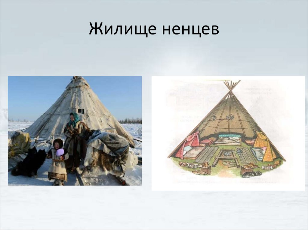 Жилище ненцев