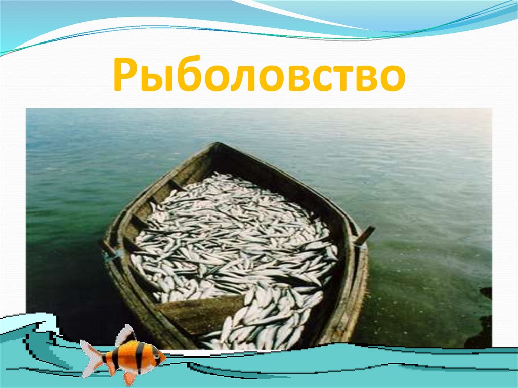 Рыболовство