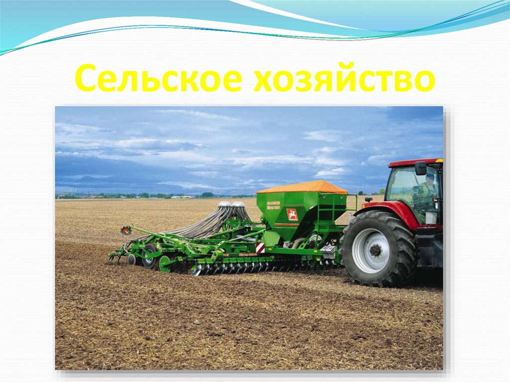 Сельское хозяйство