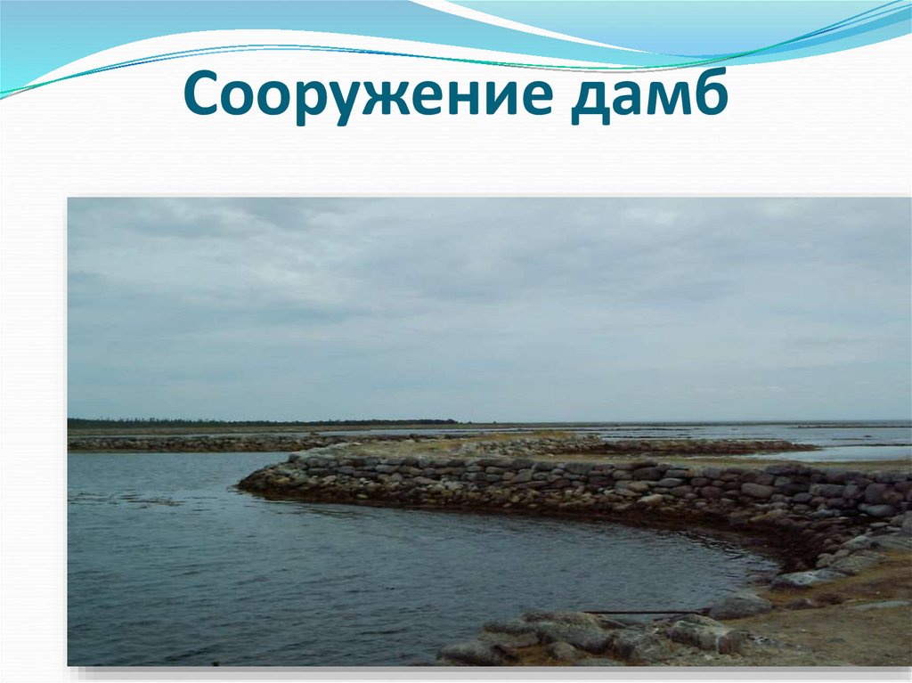 Сооружение дамб