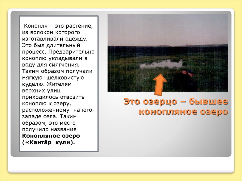 Это озерцо – бывшее конопляное озеро