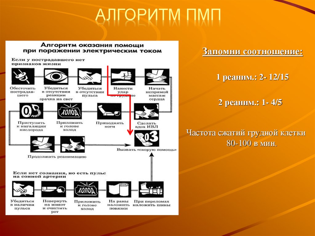 Алгоритм ПМП