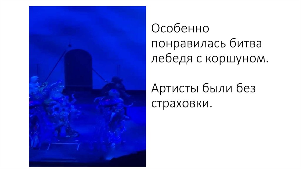 Особенно понравилась битва лебедя с коршуном. Артисты были без страховки.