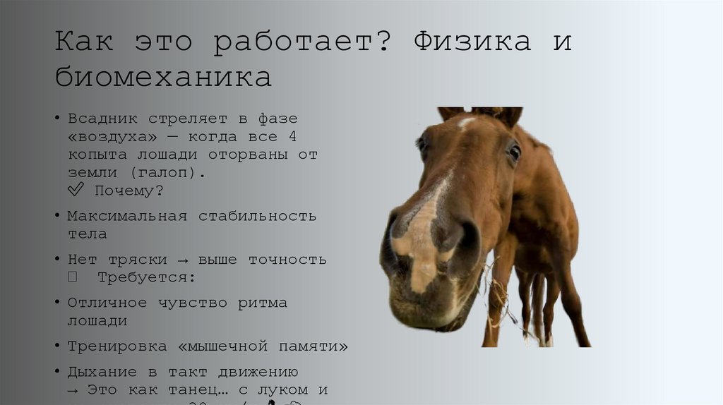 Как это работает? Физика и биомеханика