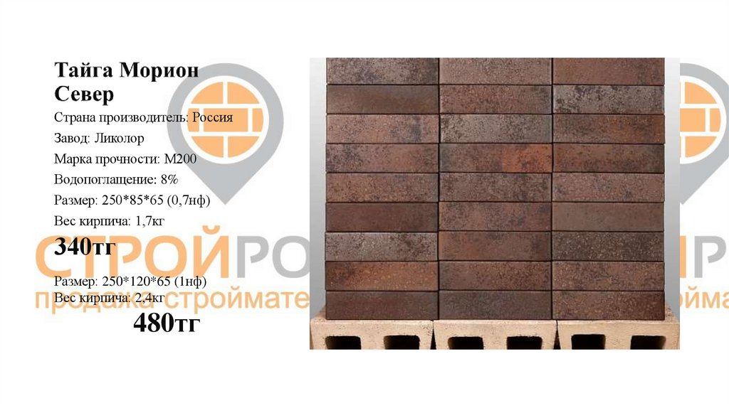 Тайга Морион Север