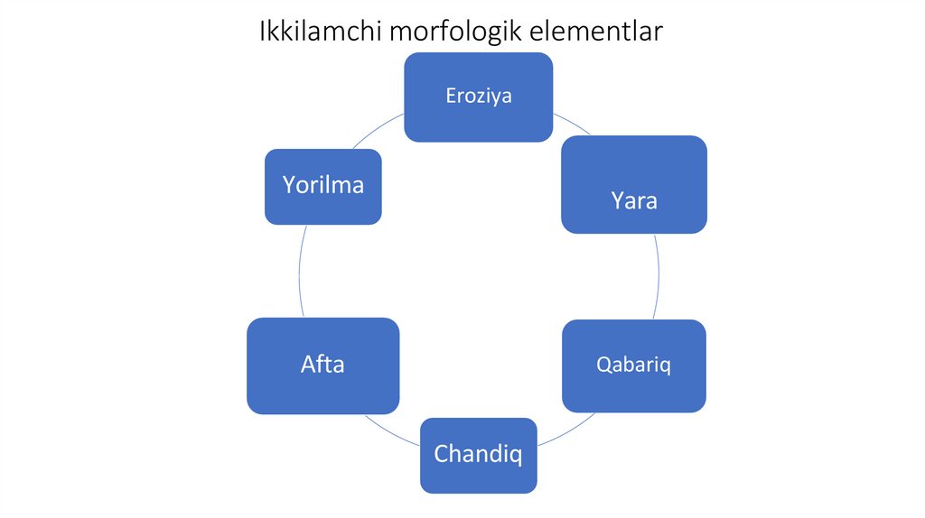 Ikkilamchi morfologik elementlar