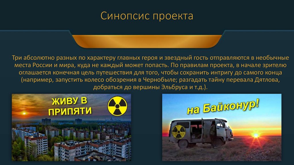 Синопсис проекта