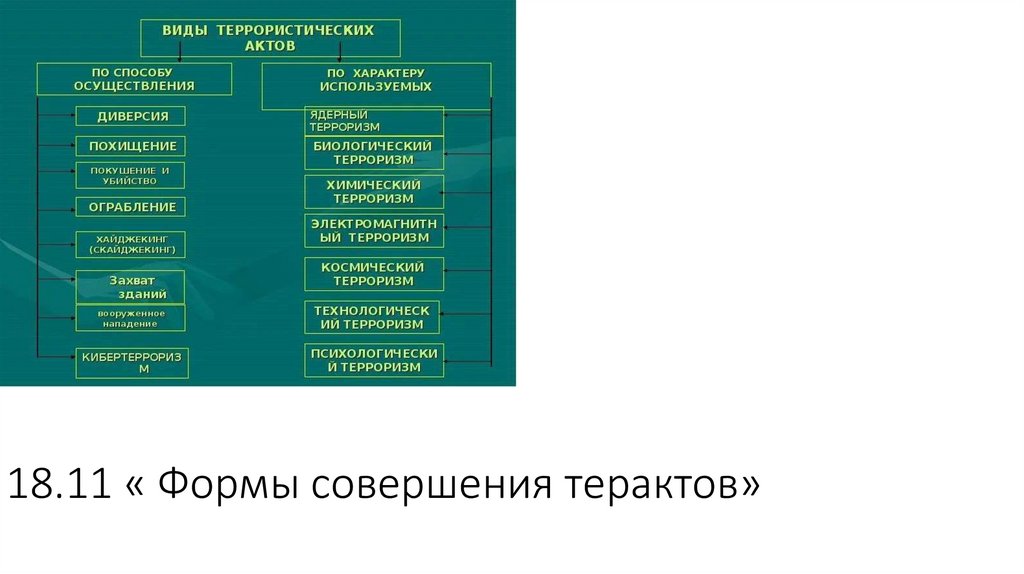18.11 « Формы совершения терактов»