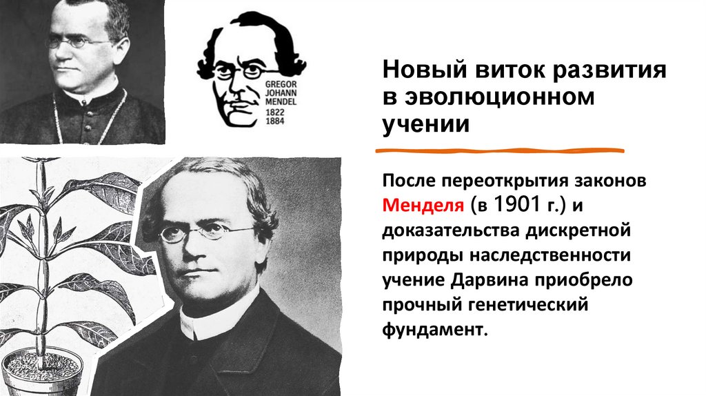 Новый виток развития в эволюционном учении