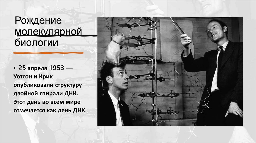 Рождение молекулярной биологии