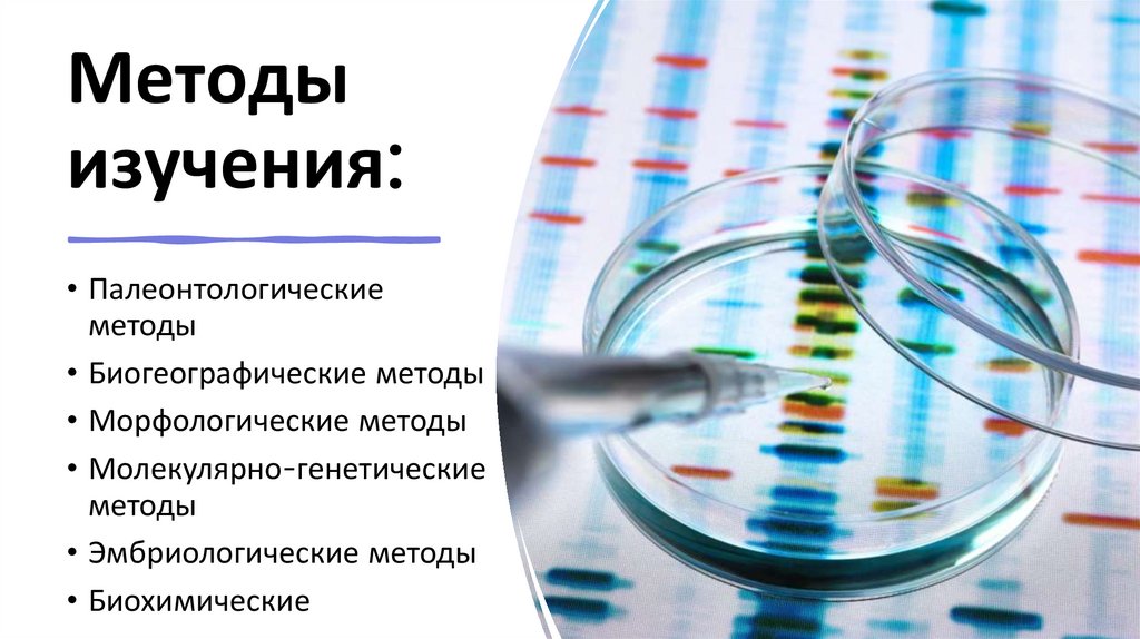 Методы изучения: