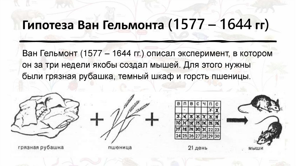 Гипотеза Ван Гельмонта (1577 – 1644 гг)