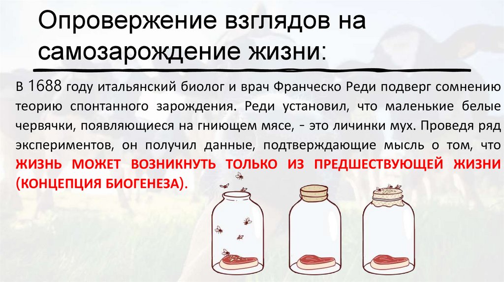 Опровержение взглядов на самозарождение жизни: