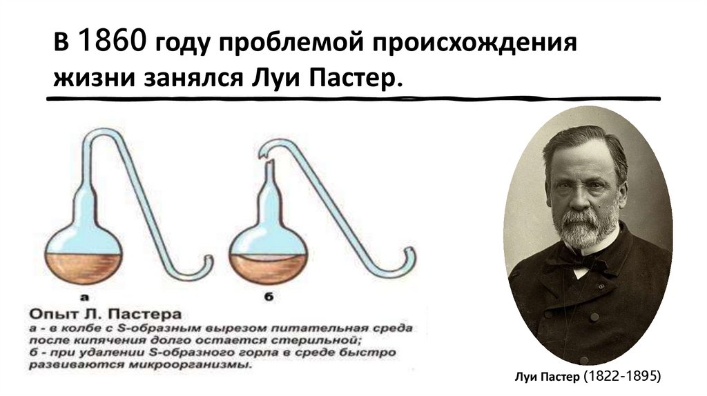 В 1860 году проблемой происхождения жизни занялся Луи Пастер.
