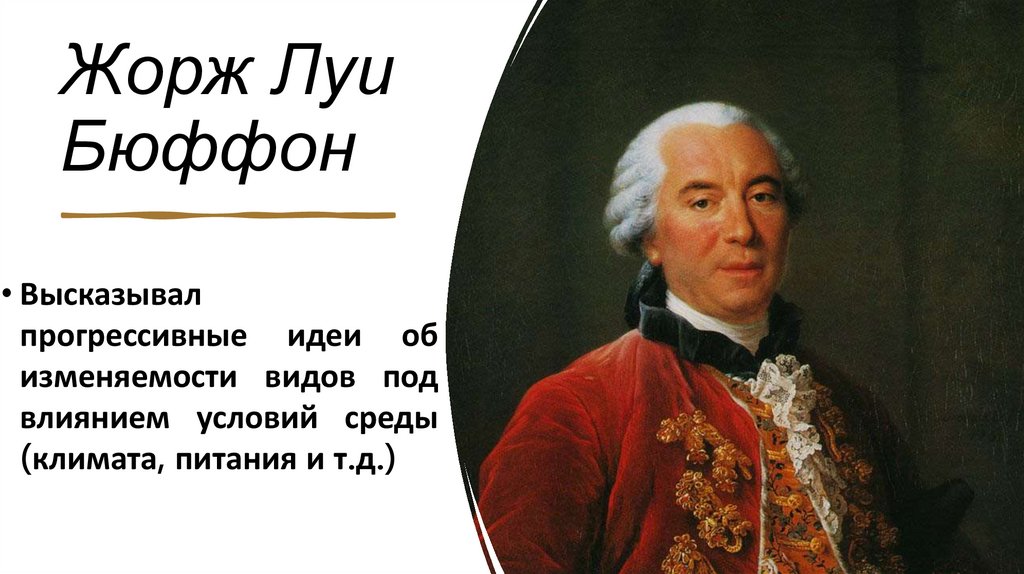 Жорж Луи Бюффон 