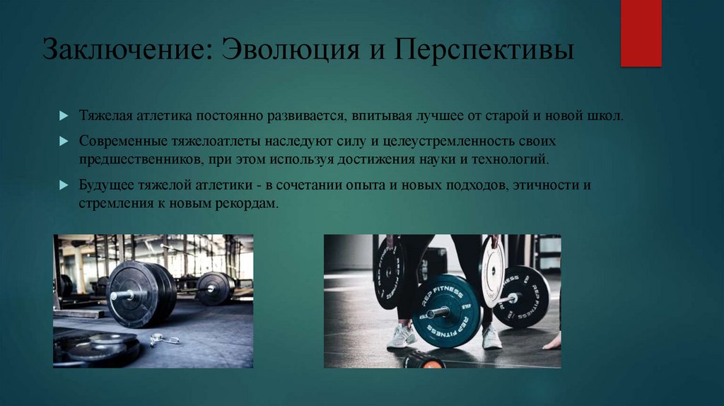 Заключение: Эволюция и Перспективы