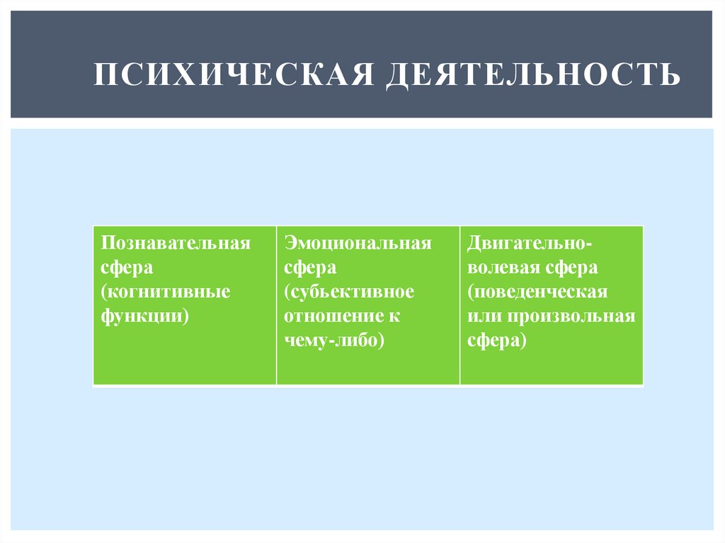 Психическая деятельность