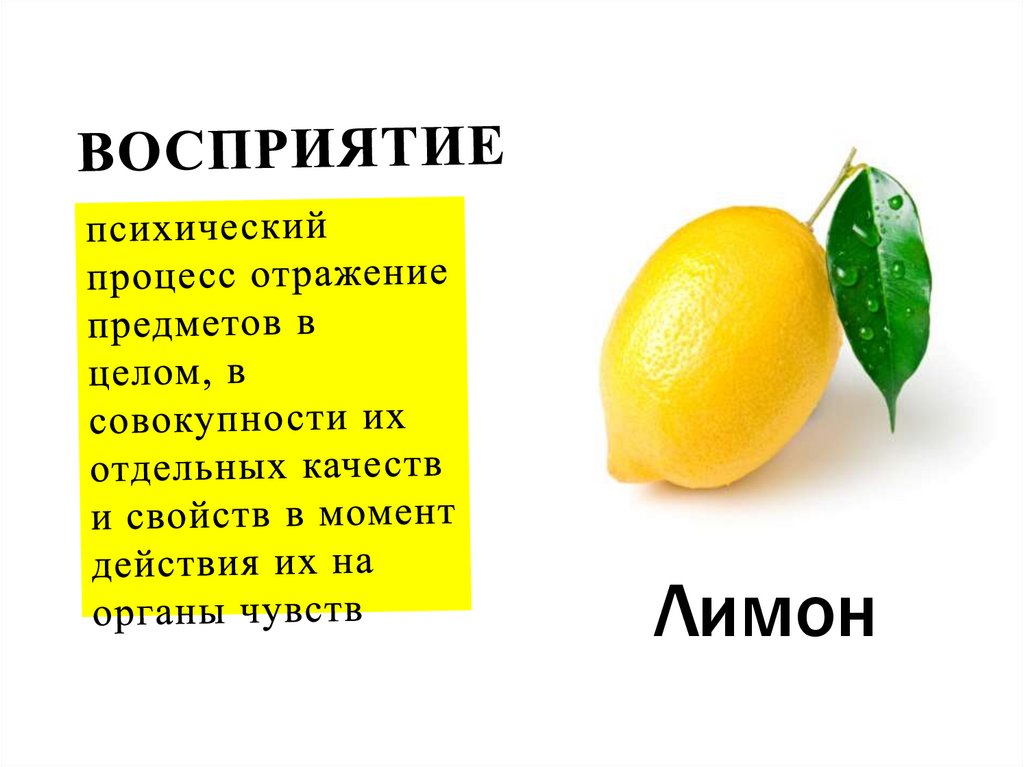 Восприятие