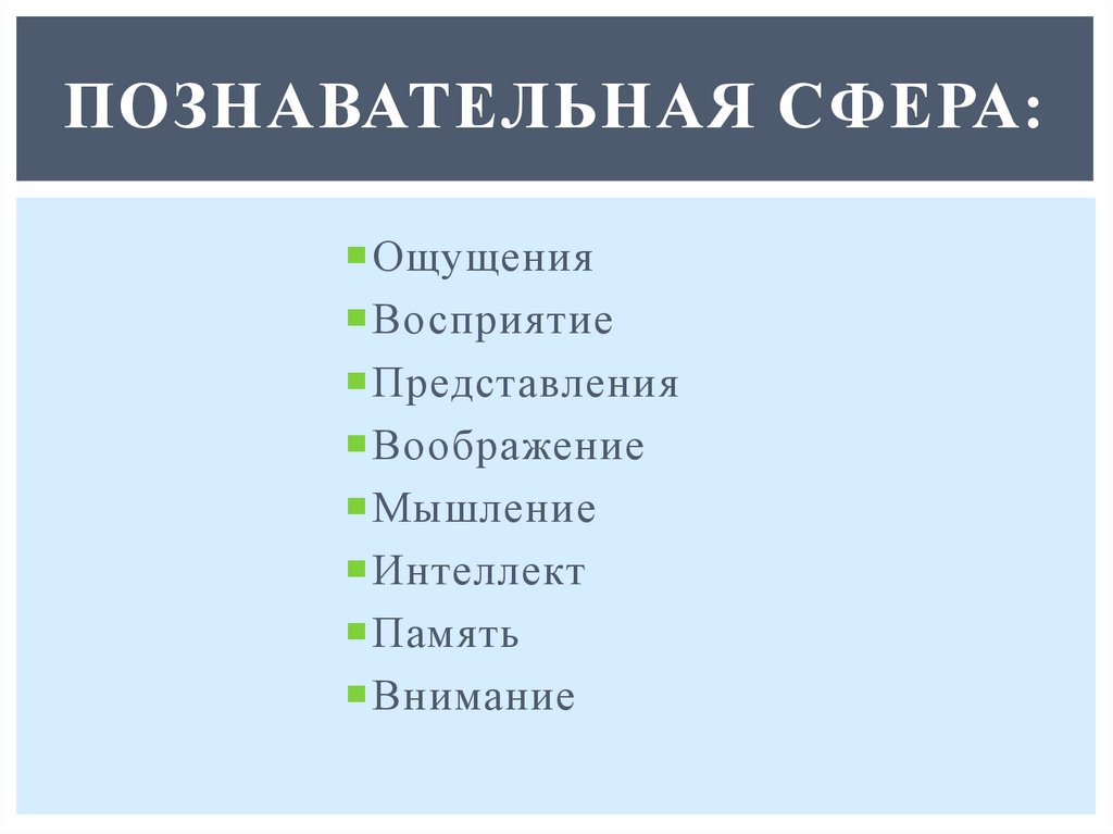 Познавательная сфера: