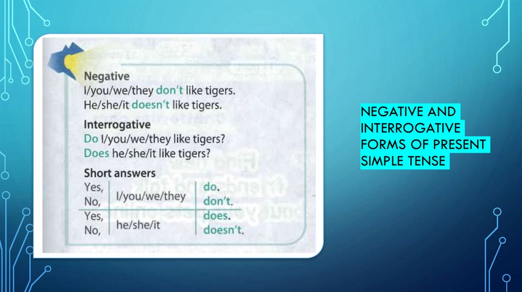 negative and interrogative forms of present simple tense